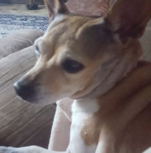 Meet your Posher, Vicki